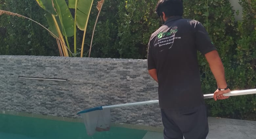 Untitled design (17)